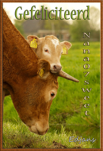 wenskaart-jarigen-week-41-2012-voor-web