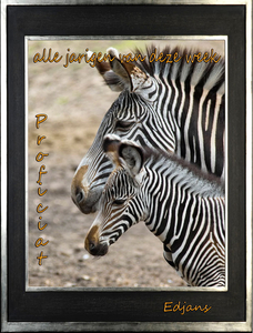 wenskaart-jarigen-week-42-voor-web