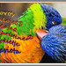 wenskaart-jarigen-week-46-2012-voor-web
