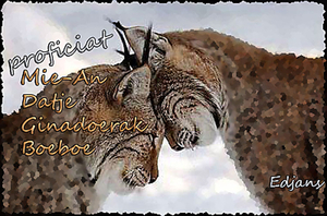 wenskaart-jarigen-week-48-2012-voor-web