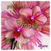 Dina-jarig-web