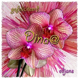 Dina-jarig-web
