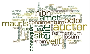 Lorem-Ipsum-2