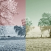 landschappen-natuur_3_voor_web