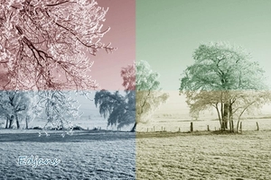 landschappen-natuur_3_voor_web