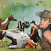 Gaviota-scrapje-1-web