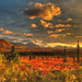 landschap-via-handeling-Makki-voor-web