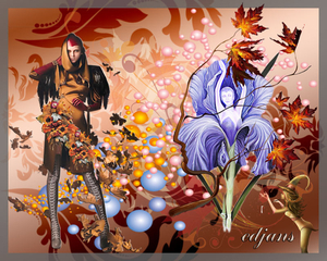 project-235-Herfst-3-web-3