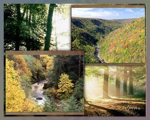 project-235-Herfst-web-1