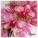 Dina-jarig-web