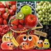project 244_smaak-3-web