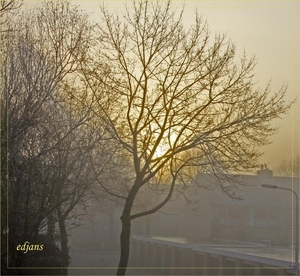 mist-_1_web