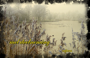 overlijden-Champion-web