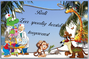 Redi-spoedig-herstel-web