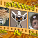 jarigen-week-5-2014_web
