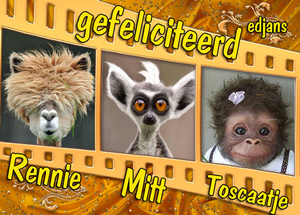 jarigen-week-5-2014_web