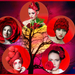 project-250-50-tinten-rood-2-web