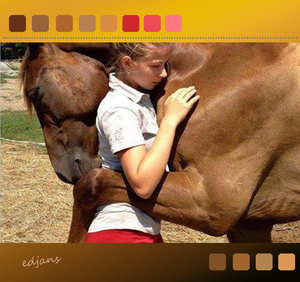 template-Lynne-9-2-2014-web