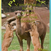 jarigen-week-09-2014-web