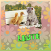 template-nr-6_Lynne-Lente-aangepast-web
