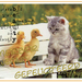 jarigen-week-12-2014-web