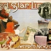 Affiches_red-star-line-Rijke-passagiers-web