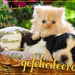 jarigen-week-13-2014-web