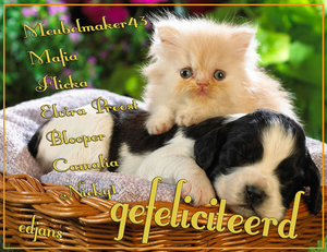 jarigen-week-13-2014-web