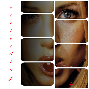 Lynne-template-nr-10-kers-web