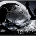 project-260-3-Silhouette-web