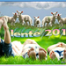 project-Lente-2014-6-in-de-wei-web