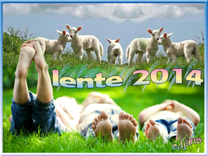 project-Lente-2014-6-in-de-wei-web