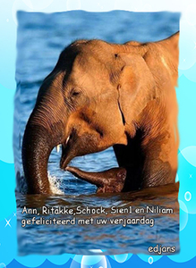 jarigen-week_15_2014_web