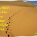5_compassie-met-Betje1964-web