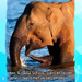 7_jarigen-week_15_2014_web