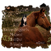 8_jarigen-week-16-2014-web