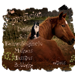 8_jarigen-week-16-2014-web