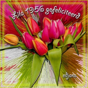 10_Lila-1956-gefeliciteerd-web