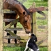 15_wenskaart-jarigen_2_week-17-2014