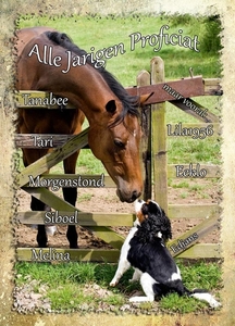 15_wenskaart-jarigen_2_week-17-2014