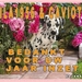lila1956-&-Gaviota-bedankt-voor-4-jaar-inzet-web