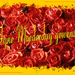 Rozen-met-masker-gaviota-web