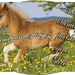wenskaart-jarigen-week-18-2014-web
