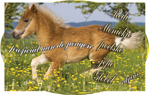 wenskaart-jarigen-week-18-2014-web