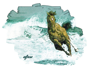 paarden_14_in_BD-effect.-web-2