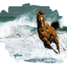 paarden_14_in_Ed_masker_web