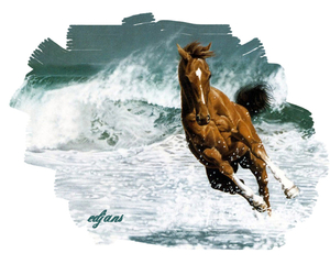 paarden_14_in_Ed_masker_web