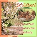 wenskaart-jarigen-week-21-met-template-nr-15_Lynne-web