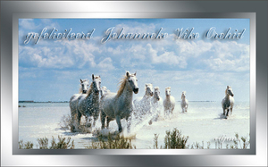 wenskaart-jarigen-week-32-2014-web