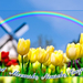 wenskaart-jarigen-week-31_2_-2014